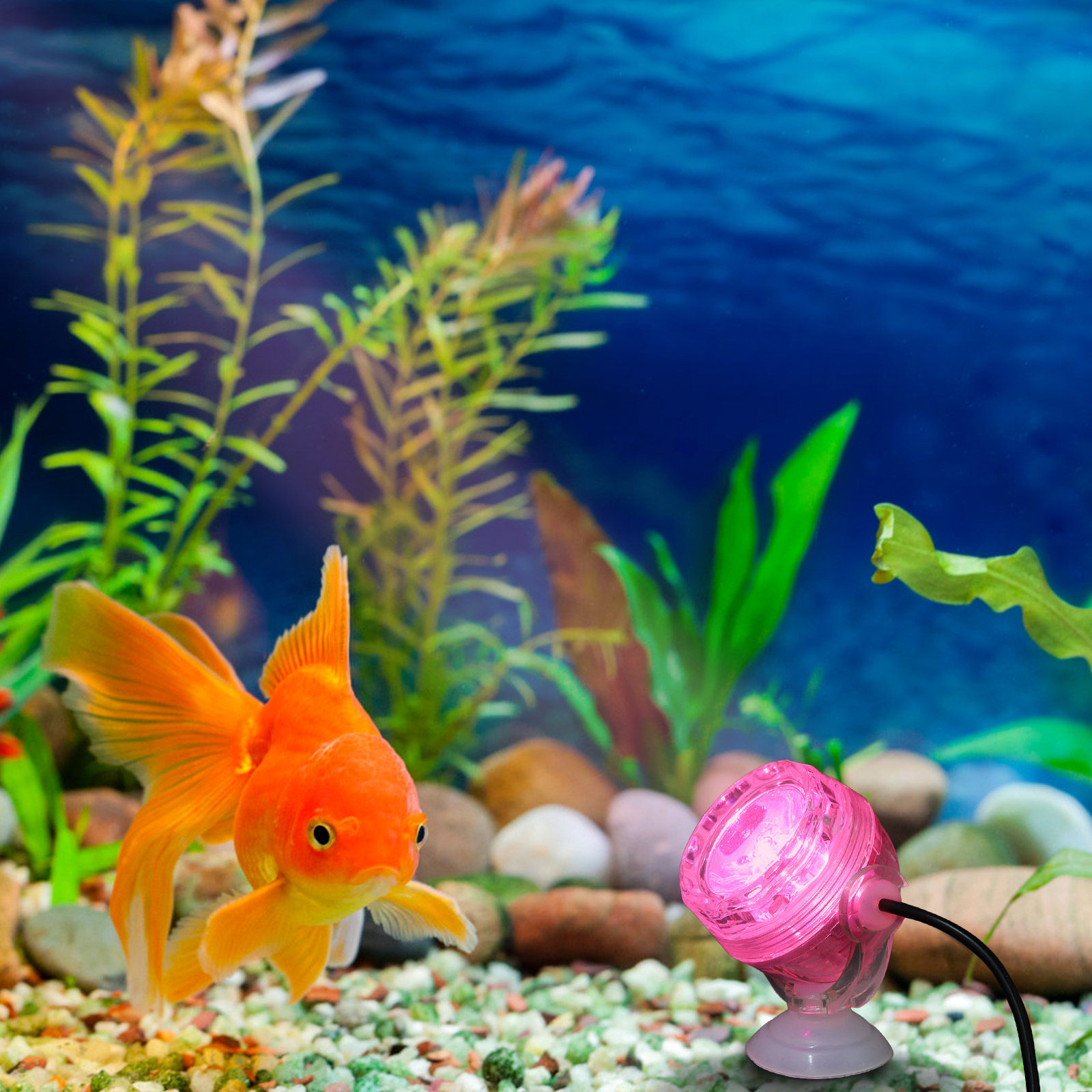 Aquarium Fish Rainbow - Lampe LED pour aquarium, étanche, à