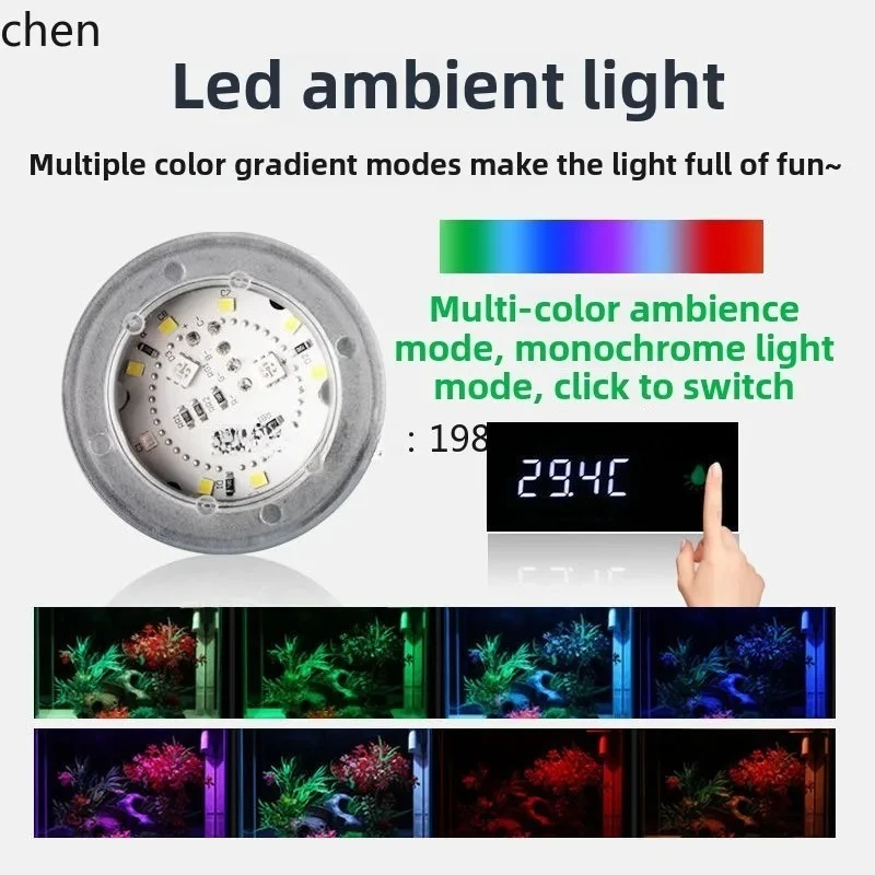 Aquarium Fish Without Oxygen - y9.4- Petit aquarium en verre ultra-blanc,