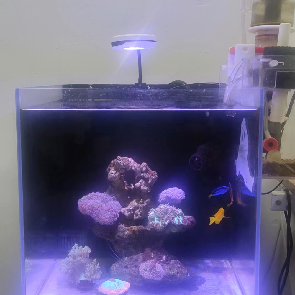 Lampe Spectra 20W Nano Clip-On - Refugium Light Nano avis et prix
