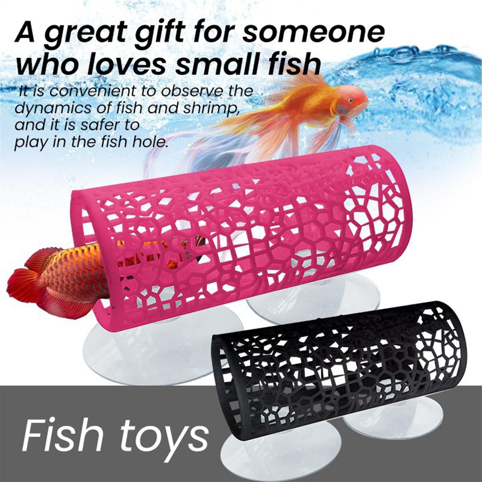 Habitat pour betta, abri de re - Aquarium Fish Real avis et prix