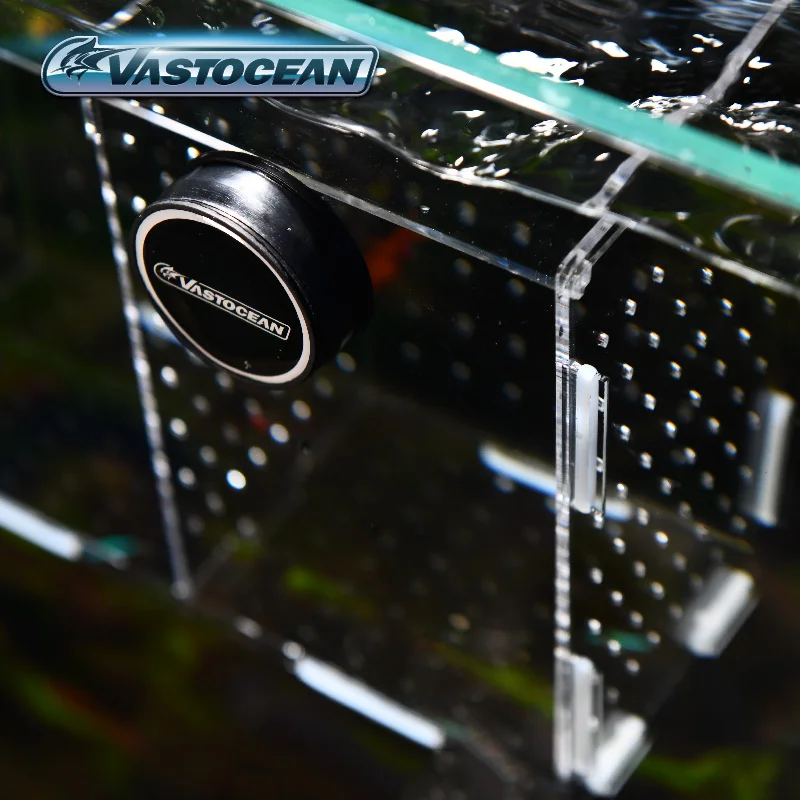 Vastocean-Boîte d'isolement co - Aquarium Fish Real avis et prix
