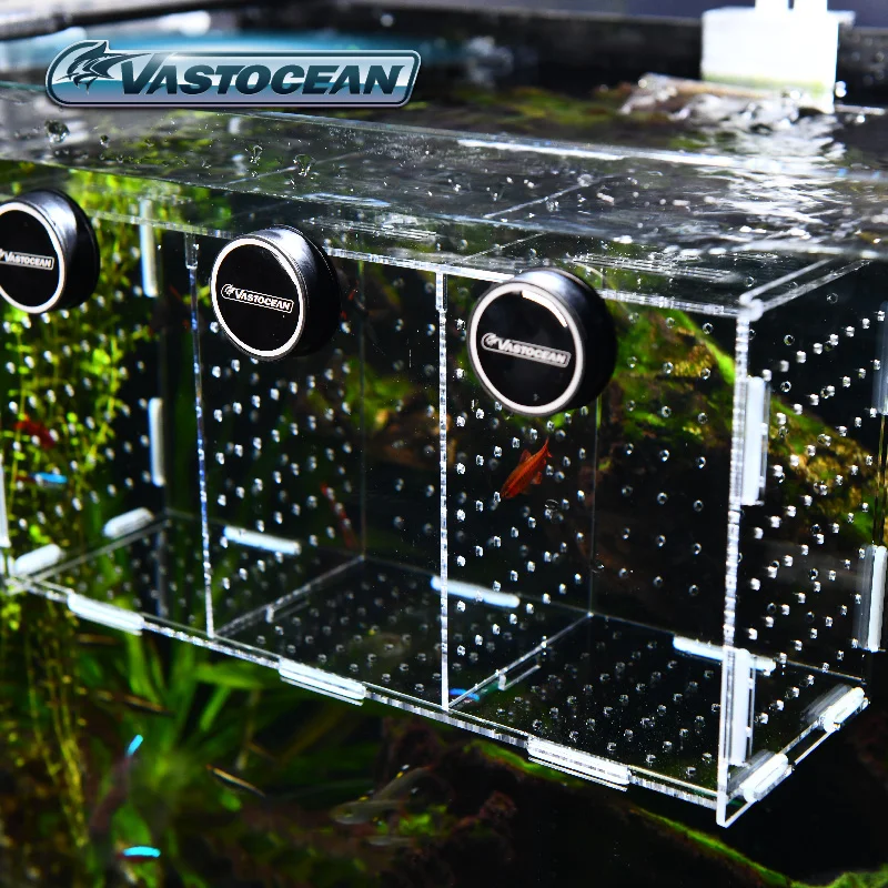 Vastocean-Boîte d'isolement co - Aquarium Fish Real avis et prix