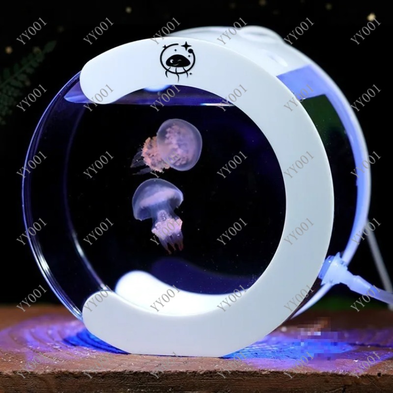 Aquarium de bureau à circulati - Aquarium Fish Real avis et prix