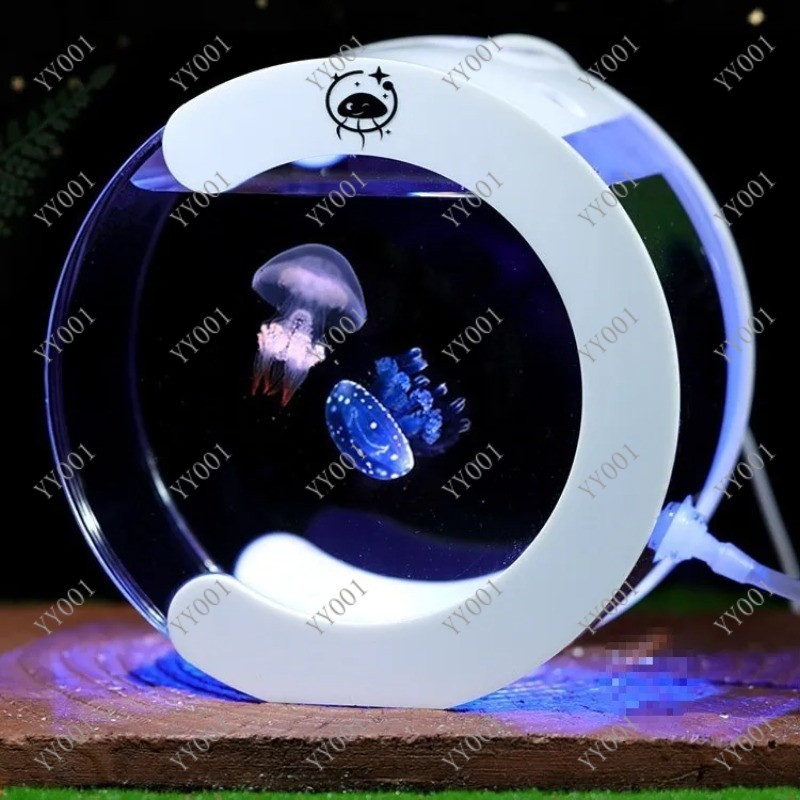 Aquarium de bureau à circulati - Aquarium Fish Real avis et prix