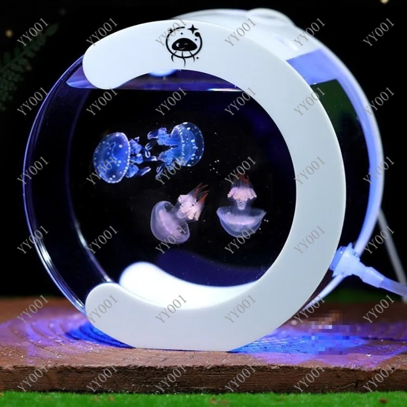Aquarium de bureau à circulati - Aquarium Fish Real avis et prix