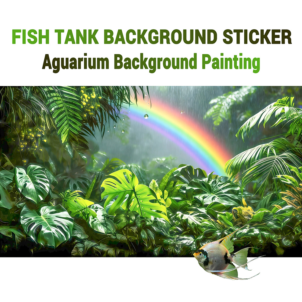 Arc-en-ciel de la forêt tropic - Aquarium Fish Rainbow avis et prix