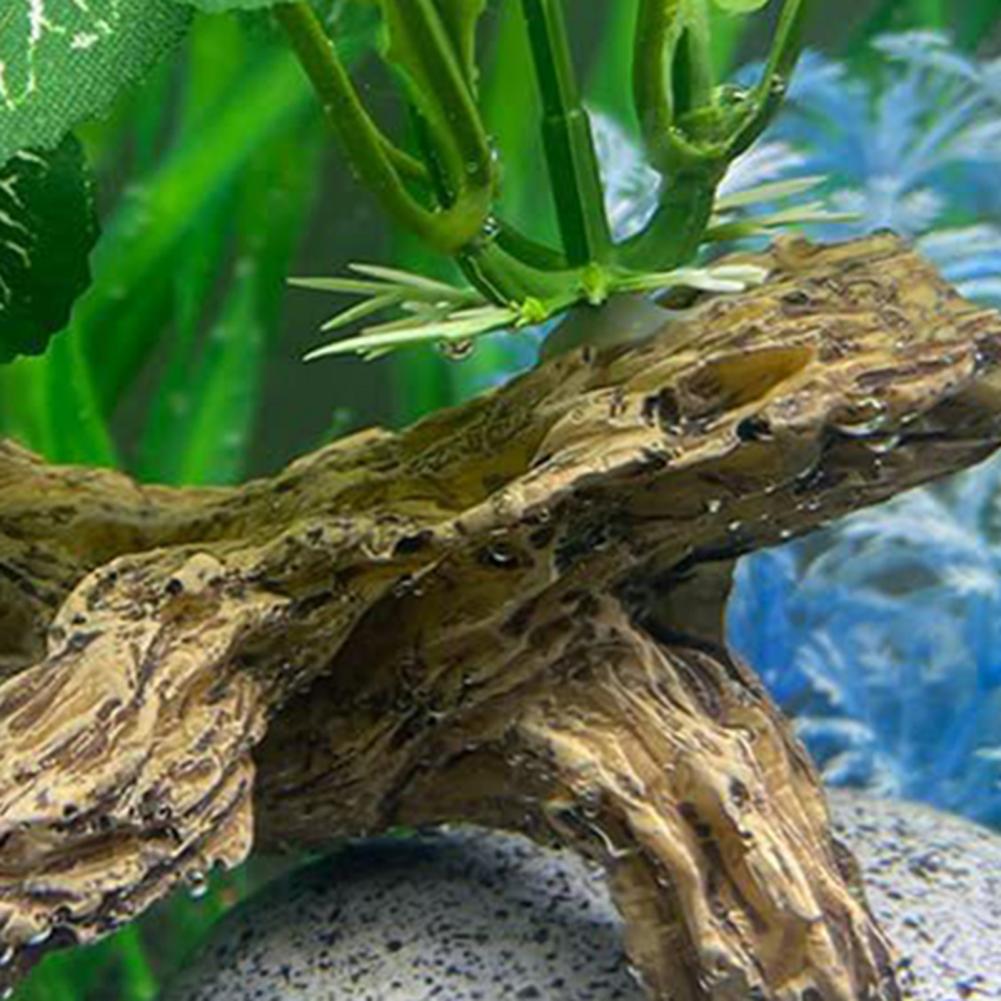 Ornement d'aquarium à faible e - Aquarium Fish Low Maintenance avis et prix