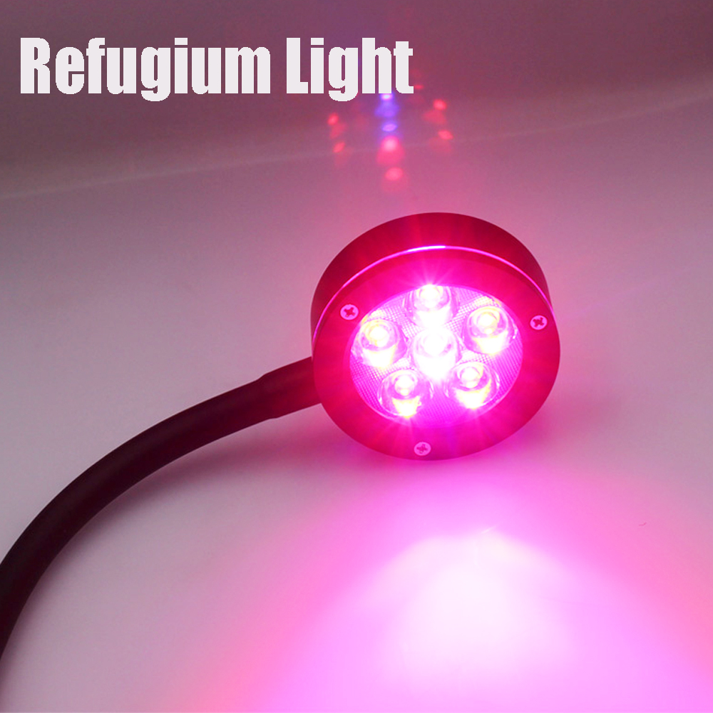 Nano Glo Refugium Aquarium Sum - Refugium Light Nano avis et prix