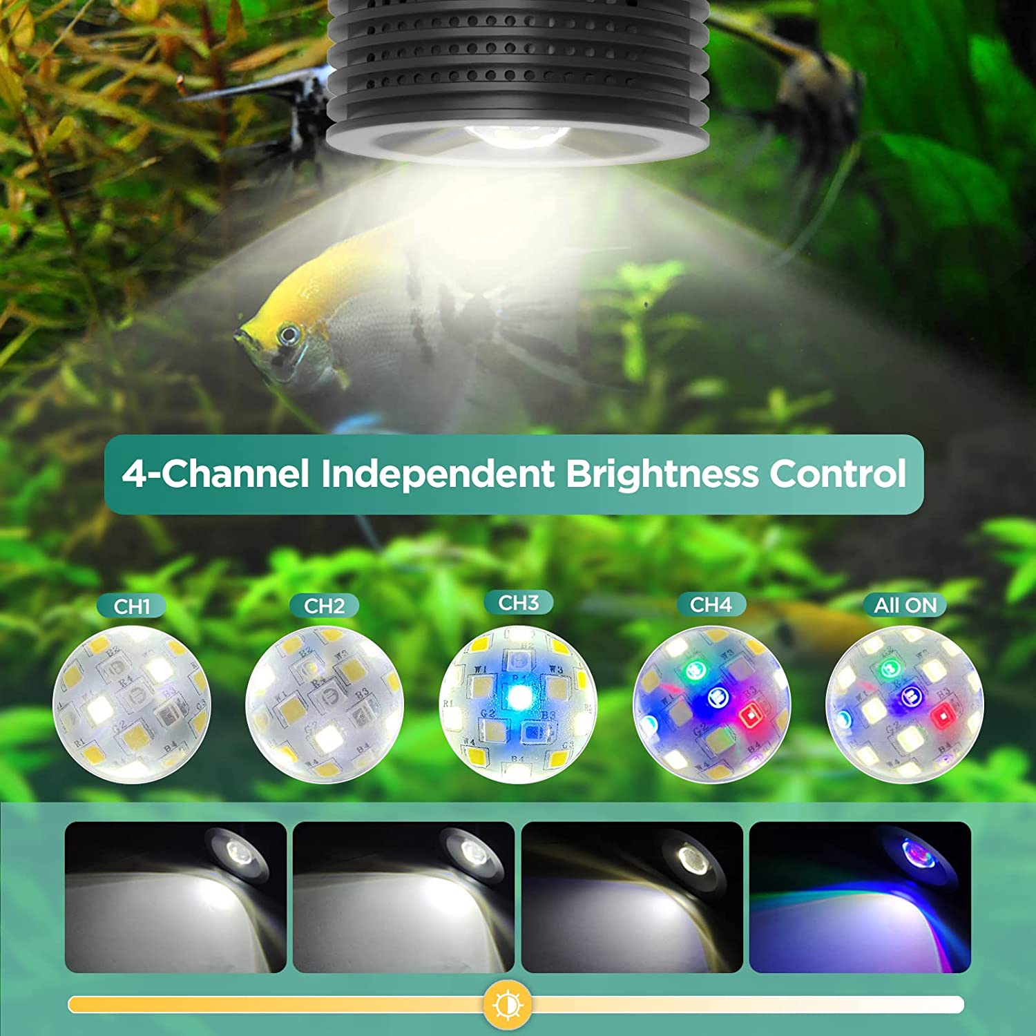 Lominie Asta 20 Eau douce 18W  - Refugium Light Nano avis et prix