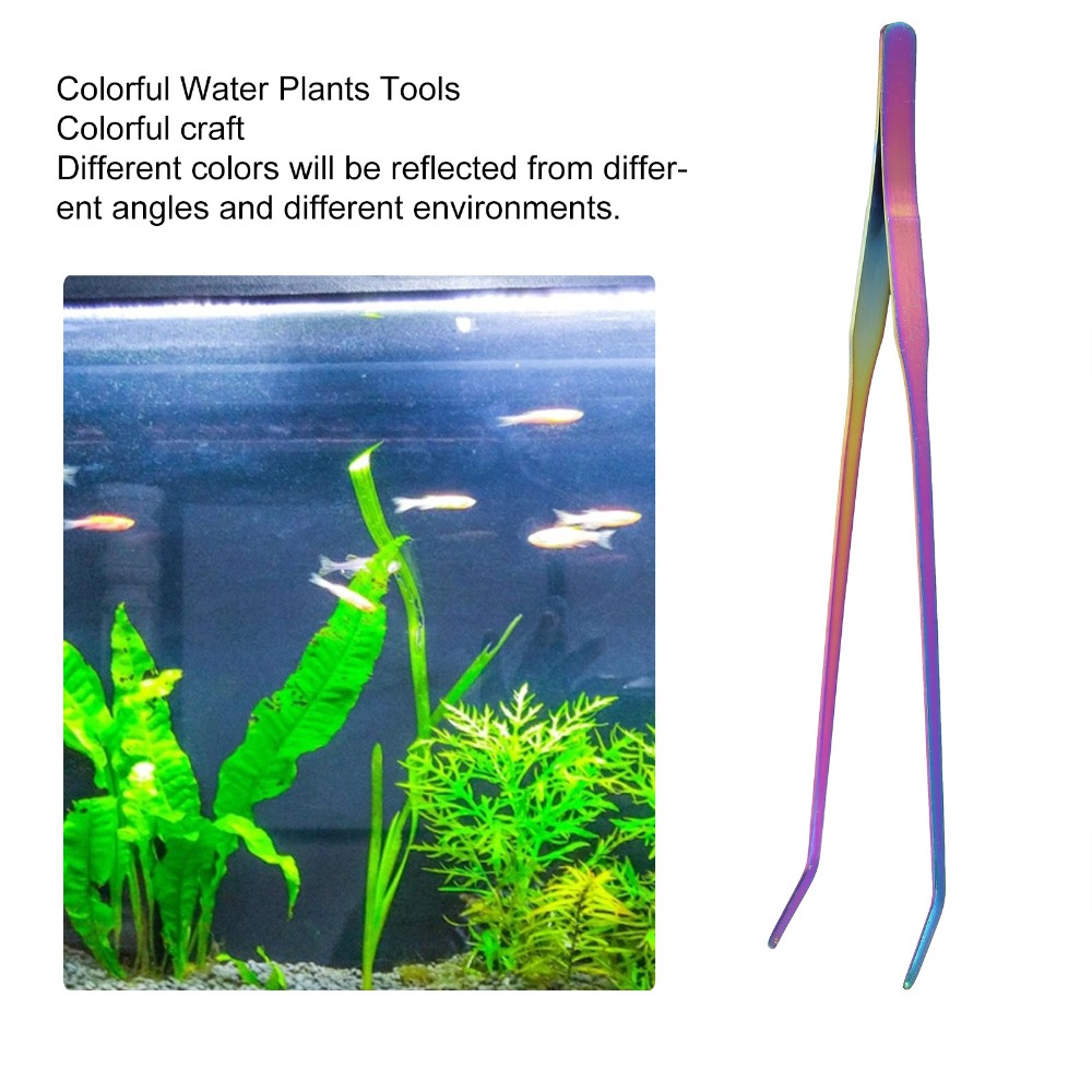 Pince à épiler pour aquarium e - Aquarium Fish Rainbow avis et prix