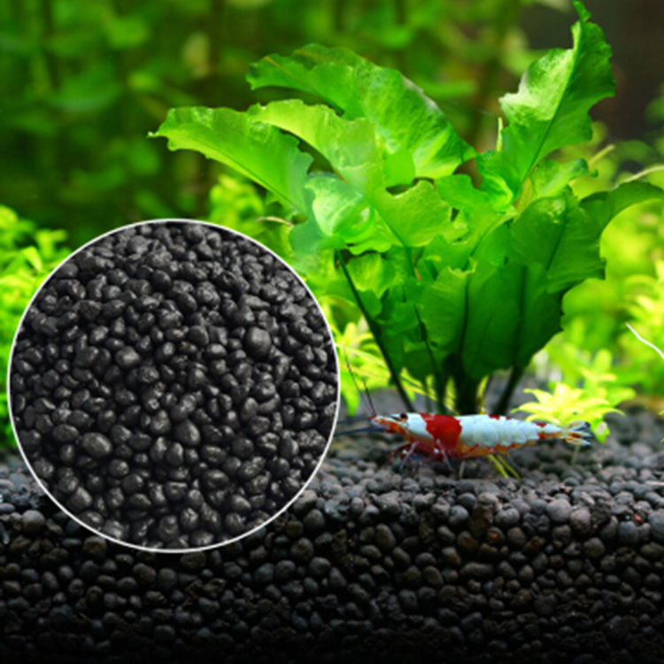Sol de graines de plantes d'aq - Aquarium Fish Care avis et prix