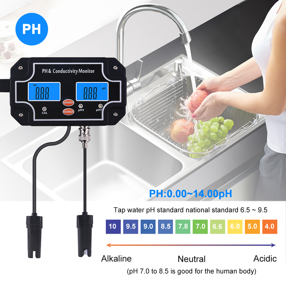 Yieryi numérique en ligne PH/E - Aquarium Fish In Online avis et prix