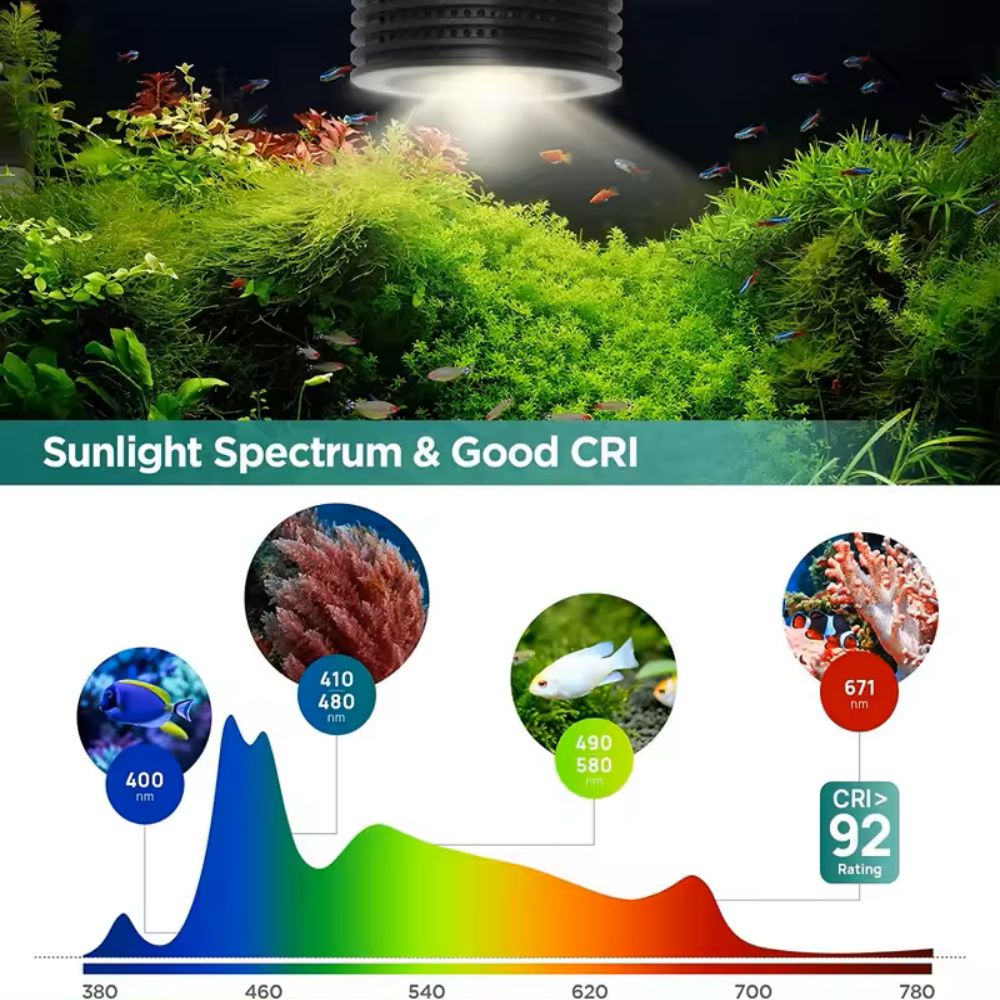 Lominie Asta 20 eau douce 18W  - Refugium Light Nano avis et prix