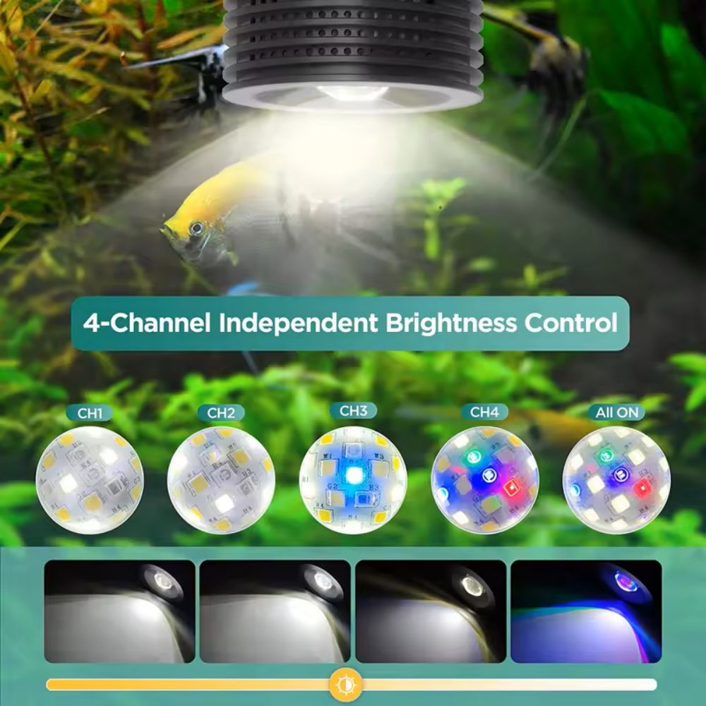 Lominie Asta 20 eau douce 18W  - Refugium Light Nano avis et prix