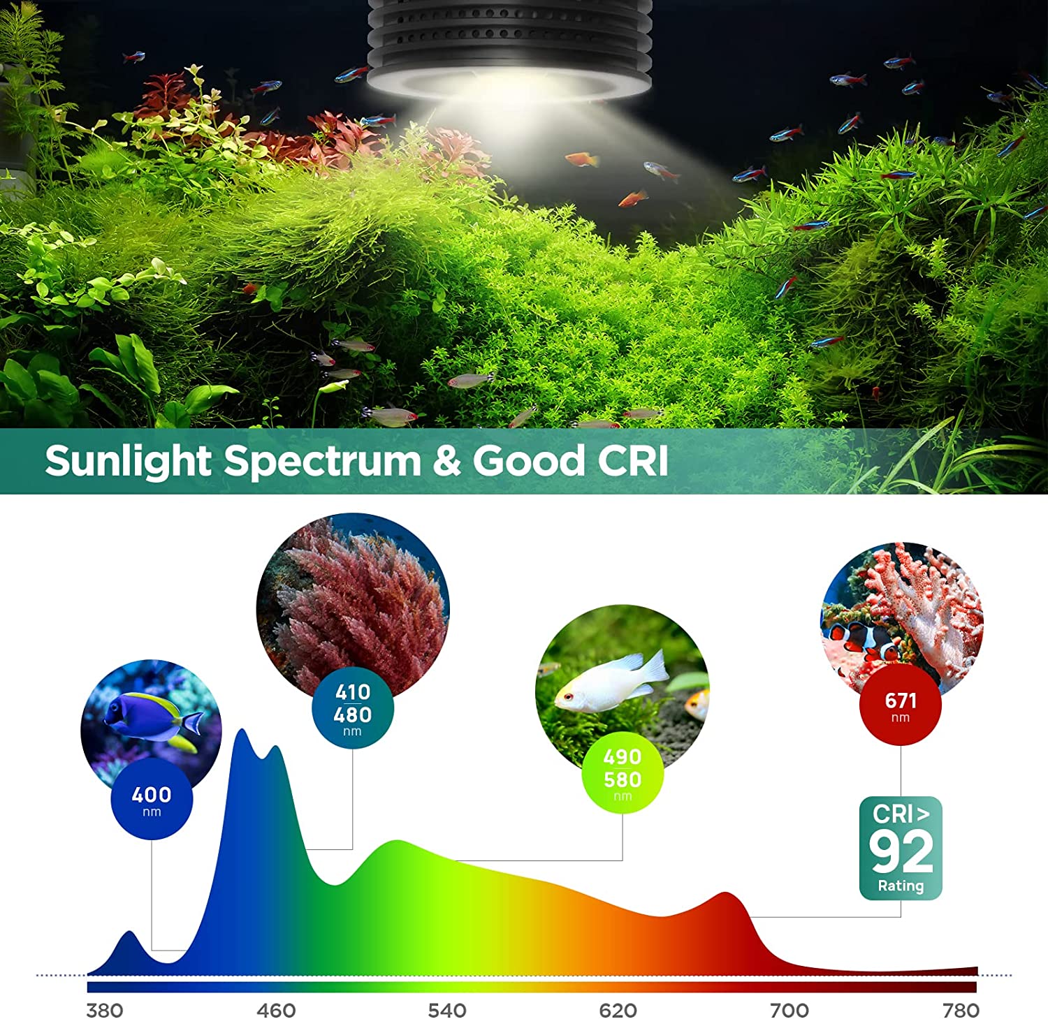 Lominie Asta 20 eau douce 18W  - Refugium Light Nano avis et prix